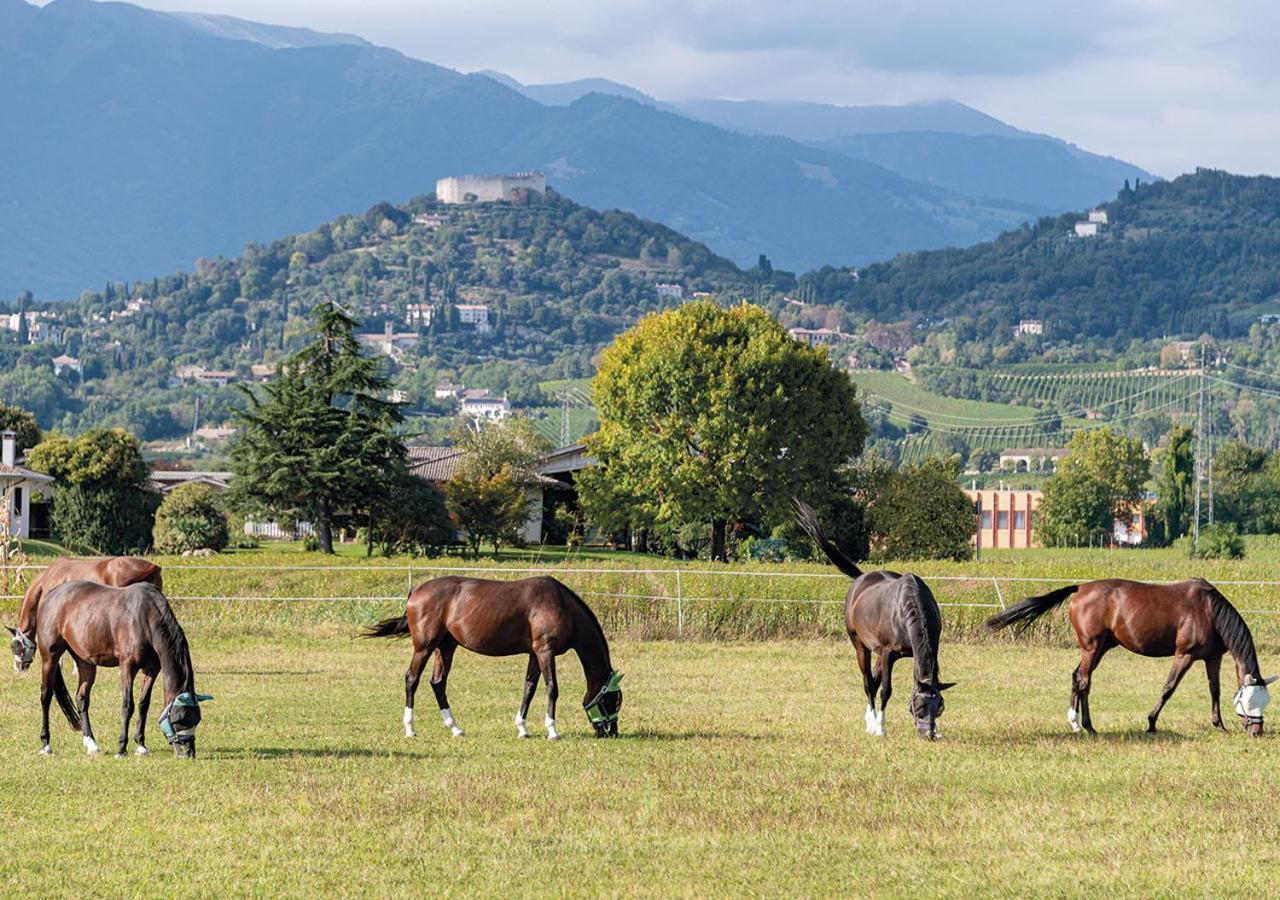 Progress Country & Wine House Aparthotel Asolo Exterior foto